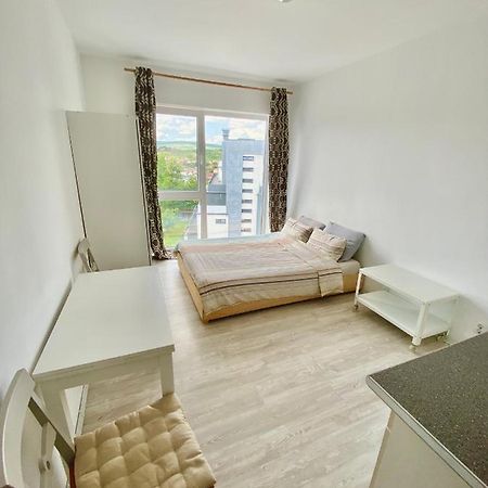 Cozy Studio Near The Center Of Cluj Экстерьер фото